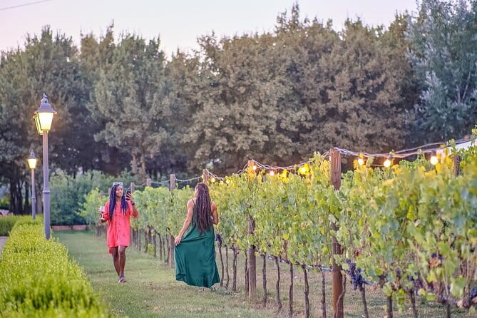 Chianti Delights: A Tale Of Two Wineries With A Vineyard Dinner - Key Highlights To Expect (And Plan Around)