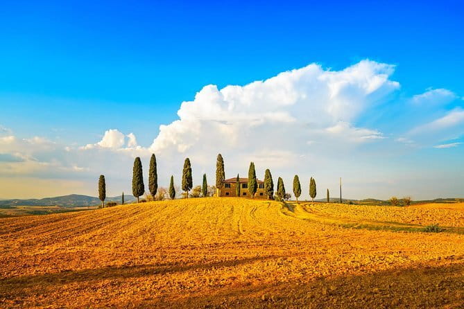 Chianti Vineyards Escape from Florence with Two Wine Tastings - The panoramic terrace stop: where the photos happen