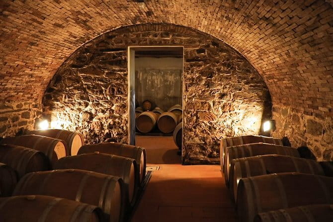 Chianti Wine Tour from Florence - Key Things I Think You’ll Enjoy Most