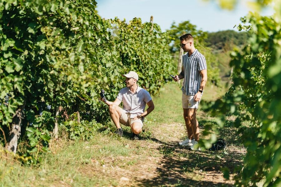 Florence: Chianti Wineries Tour with Wine Tasting - Who Should Book This Chianti Wineries Tour?