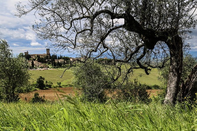 Florence: Day Trip with Free Time in San Gimignano and Siena - San Gimignano: Medieval towers and the freedom to wander