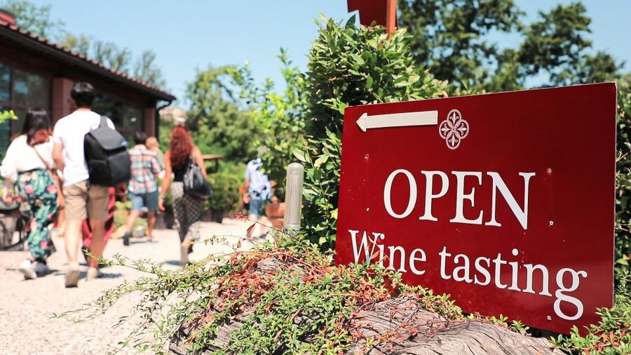 Florence: S. Gimignano, Siena, Chianti & Wine Tasting Lunch - Key highlights to plan around