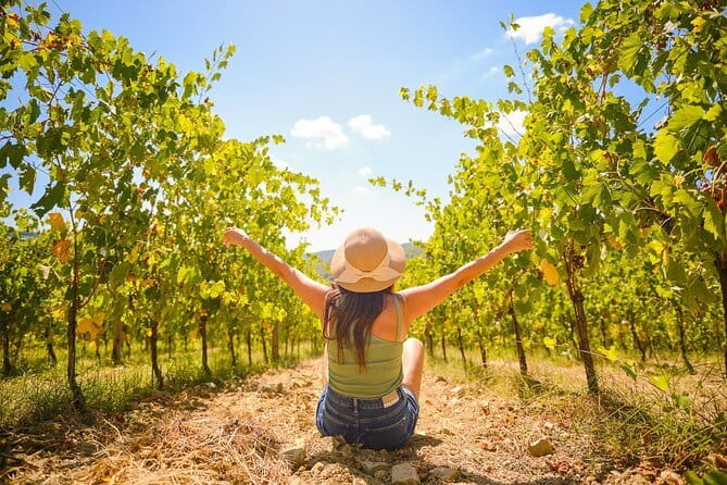 Half day Chianti Vineyard Escape from Florence with Wine Tastings - From Piazzale Montelungo to the Chiantigiana Road