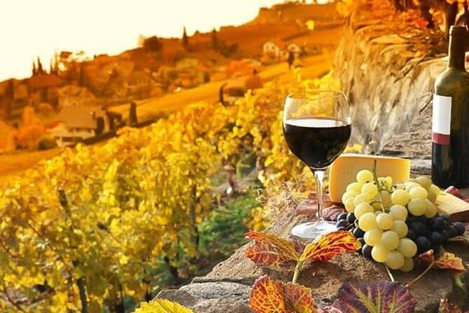 Pisa, Siena and San Gimignano Day Trip with Lunch & Wine Pairing - Chianti countryside lunch with wine pairing: the meal that keeps the day worth it