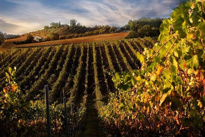 Private Flavors of Florence Walking Tour (Food and Wine Included) - Price and What You Actually Get for $332.71