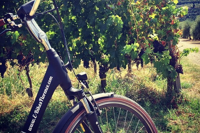 Private Self-Guided E-Bike Ride in Tuscany with Vineyard Visit - Key highlights you should know before you go