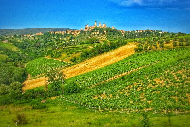 Tuscany Vespa Tour from Florence with Wine Tasting - Winery Lunch and Chianti Tasting: How to Enjoy It Without Rushing