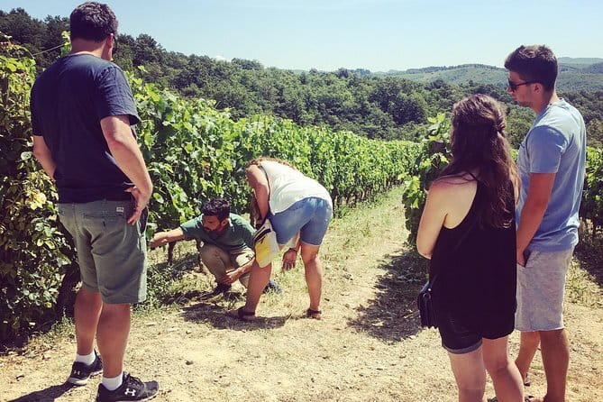 Tuscany Vespa Tours Through the Hills of Chianti - Should you book Tuscany Vespa Tours through the Hills of Chianti?