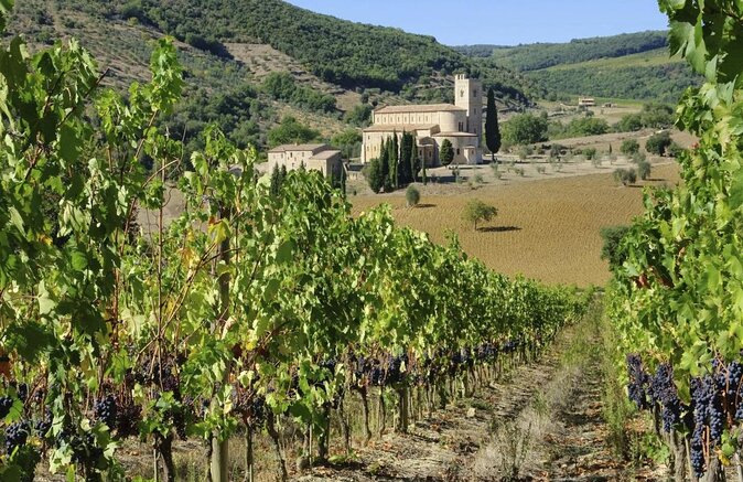 Val d'Orcia Brunello Wine Tour with Montalcino and Montepulciano - Key points to know before you go