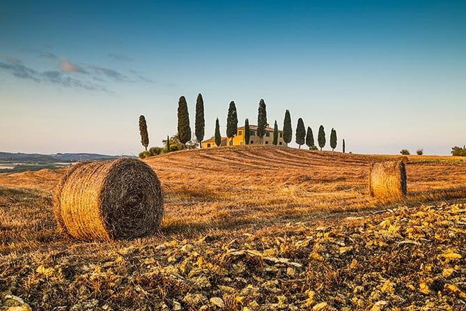 Walking Food Tour of Florence with Tastings and Wine - Logistics made simple: where to start, how to dress, what to plan